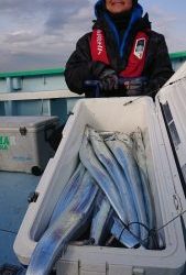 KONAYAーMARU(こなや丸) 釣果