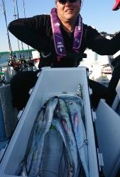 KONAYAーMARU(こなや丸) 釣果