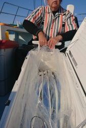 KONAYAーMARU(こなや丸) 釣果