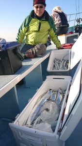 KONAYAーMARU(こなや丸) 釣果