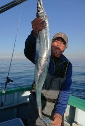 KONAYAーMARU(こなや丸) 釣果