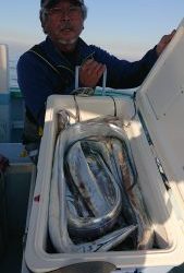 KONAYAーMARU(こなや丸) 釣果