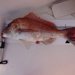 フィッシングボートACE(エース) 釣果