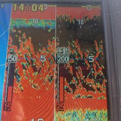 深川 吉野屋 釣果