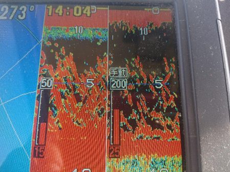 深川 吉野屋 釣果