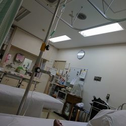 フィッシングボートACE(エース) 釣果