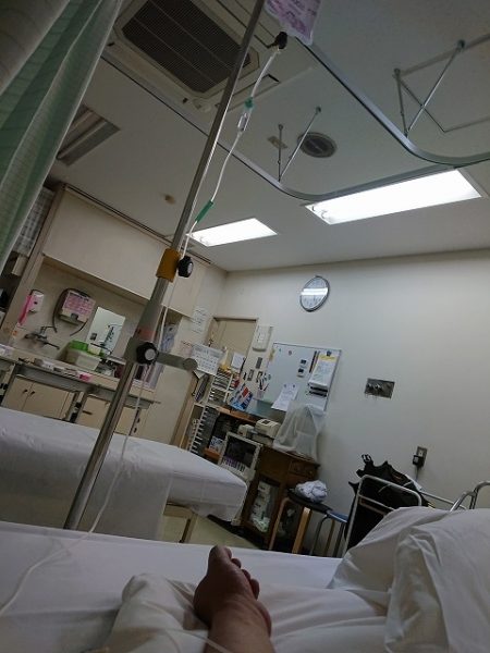 フィッシングボートACE(エース) 釣果