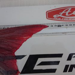 フィッシングボートACE(エース) 釣果