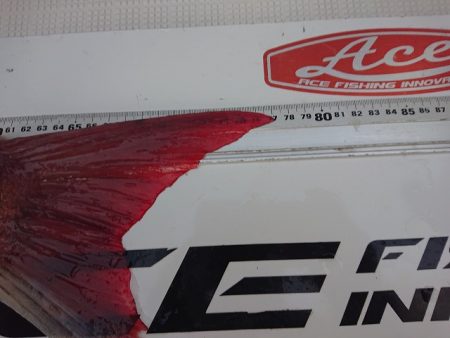 フィッシングボートACE(エース) 釣果