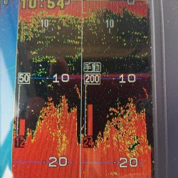 深川 吉野屋 釣果