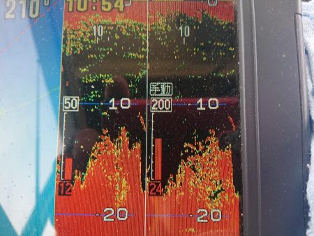 深川 吉野屋 釣果