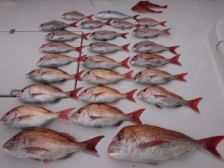 フィッシングボートACE（エース） 釣果