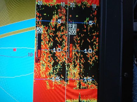 深川　吉野屋 釣果