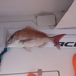 フィッシングボートACE（エース） 釣果