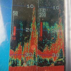 深川 吉野屋 釣果