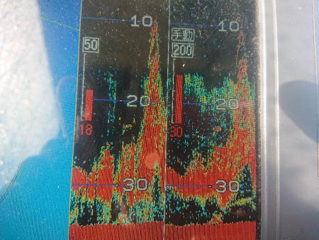 深川 吉野屋 釣果