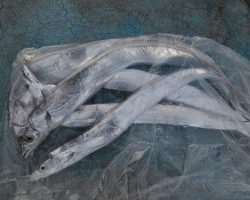 アジアマリンサービス 釣果