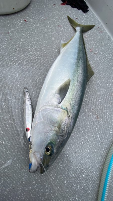 まるいち丸 ZERO-1 釣果