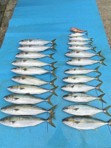 まるいち丸 ZERO-1 釣果