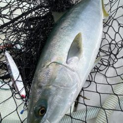 まるいち丸 ZERO-1 釣果