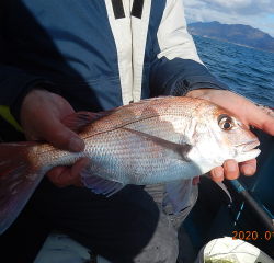 作十丸 釣果