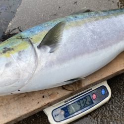 まるいち丸 ZERO-1 釣果