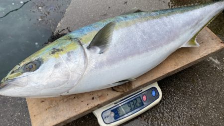 まるいち丸 ZERO-1 釣果