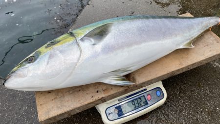 まるいち丸 ZERO-1 釣果