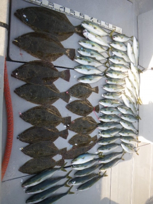 磯部釣船 直栄丸 釣果