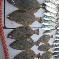 磯部釣船 直栄丸 釣果