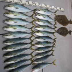 磯部釣船 直栄丸 釣果