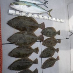 磯部釣船 直栄丸 釣果