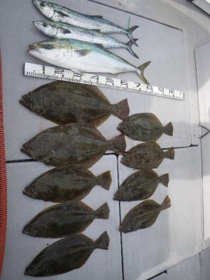 磯部釣船 直栄丸 釣果