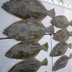 磯部釣船 直栄丸 釣果