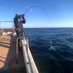 オーシャンズ 京都 釣果