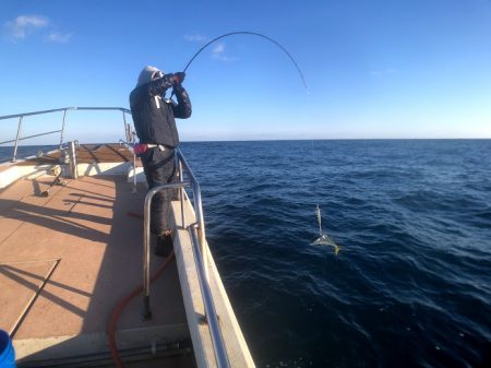 オーシャンズ 京都 釣果