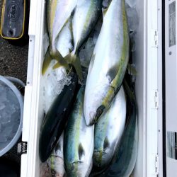 オーシャンズ 京都 釣果