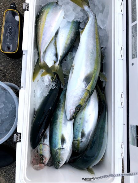 オーシャンズ 京都 釣果