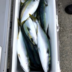 オーシャンズ 京都 釣果