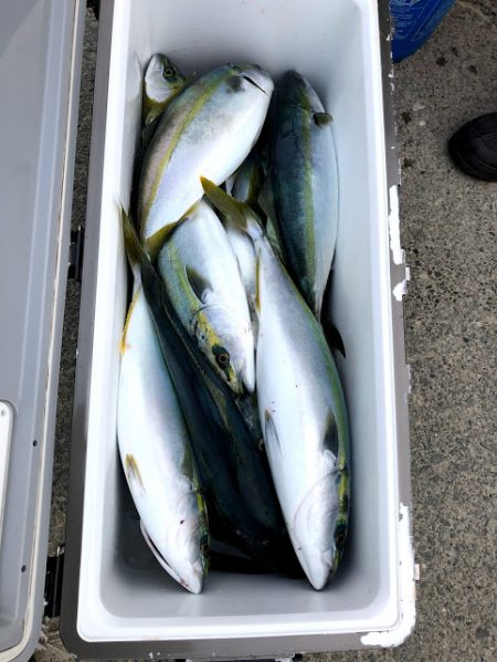 オーシャンズ 京都 釣果