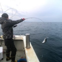 オーシャンズ 京都 釣果