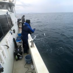 オーシャンズ 京都 釣果