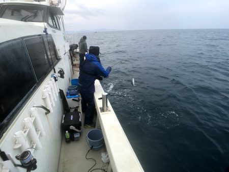 オーシャンズ 京都 釣果