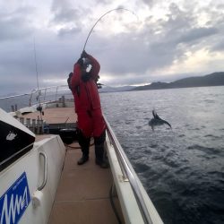 オーシャンズ　京都 釣果