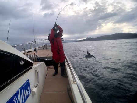 オーシャンズ　京都 釣果