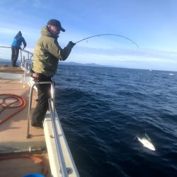 オーシャンズ 京都 釣果