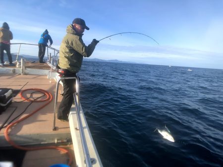 オーシャンズ 京都 釣果