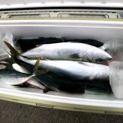 オーシャンズ　京都 釣果