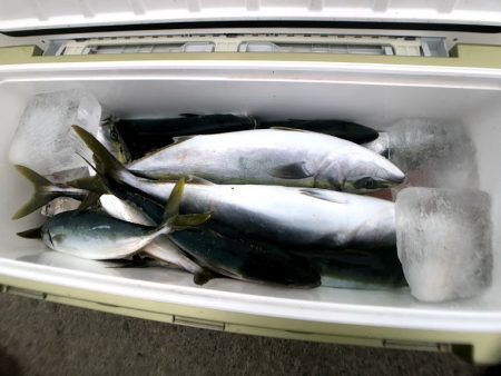 オーシャンズ　京都 釣果