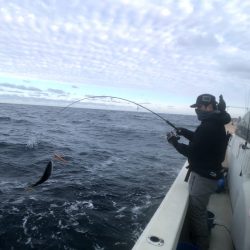 オーシャンズ 京都 釣果